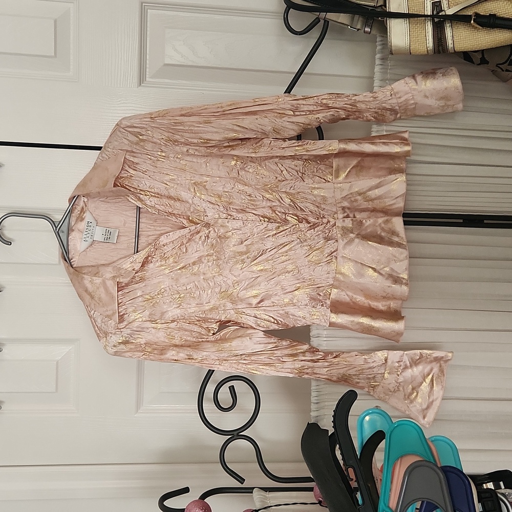 Allison Taylor shimmery silky blouse